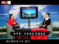 ���ӻ���Ƶ���ɷ���